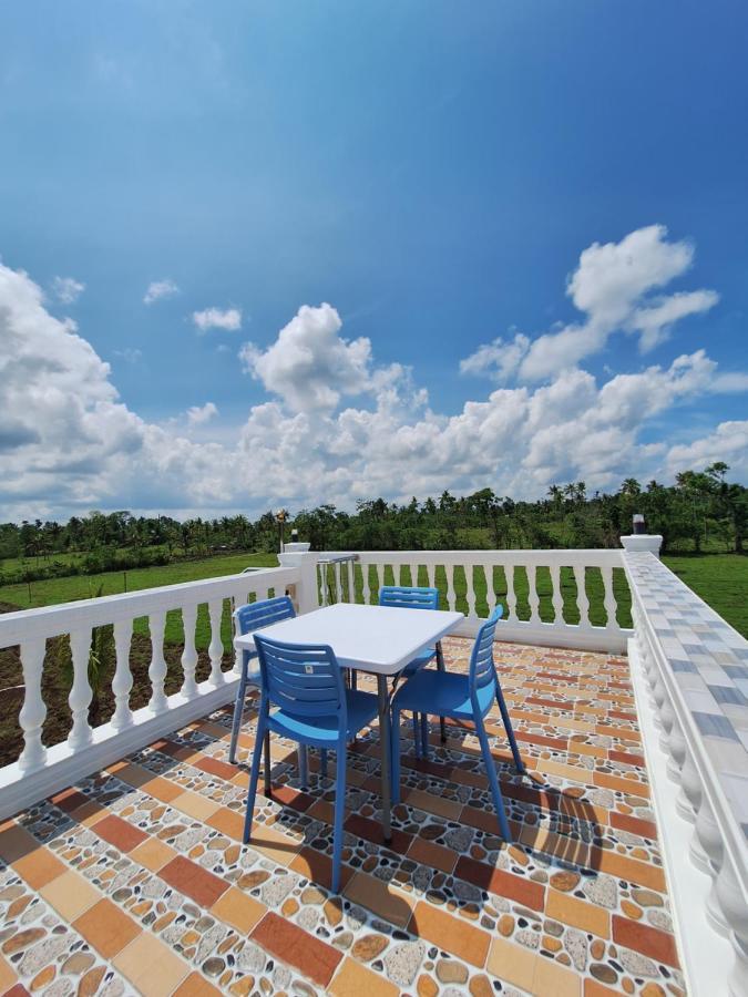 Joe'S Castle Bed and Breakfast Sagbayan Εξωτερικό φωτογραφία